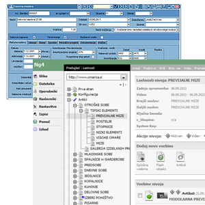 Povezava spletne trgovine z ERP programi